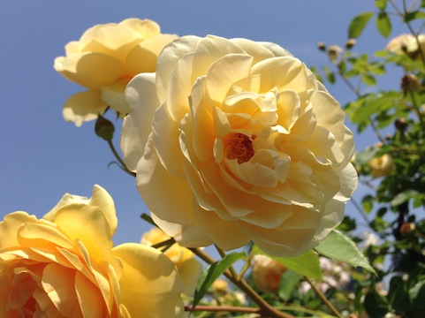 20140524_7